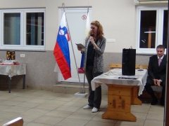 Povezovalka progama